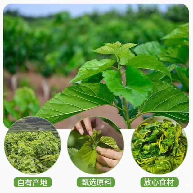 d5a6bbe0cf9090a532ce16a6fd059a1